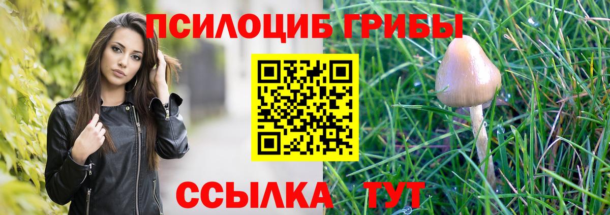 Урус-Мартан  цена   Вход с VPN  Псилоцибиновые грибы MAGIC MUSHROOMS 